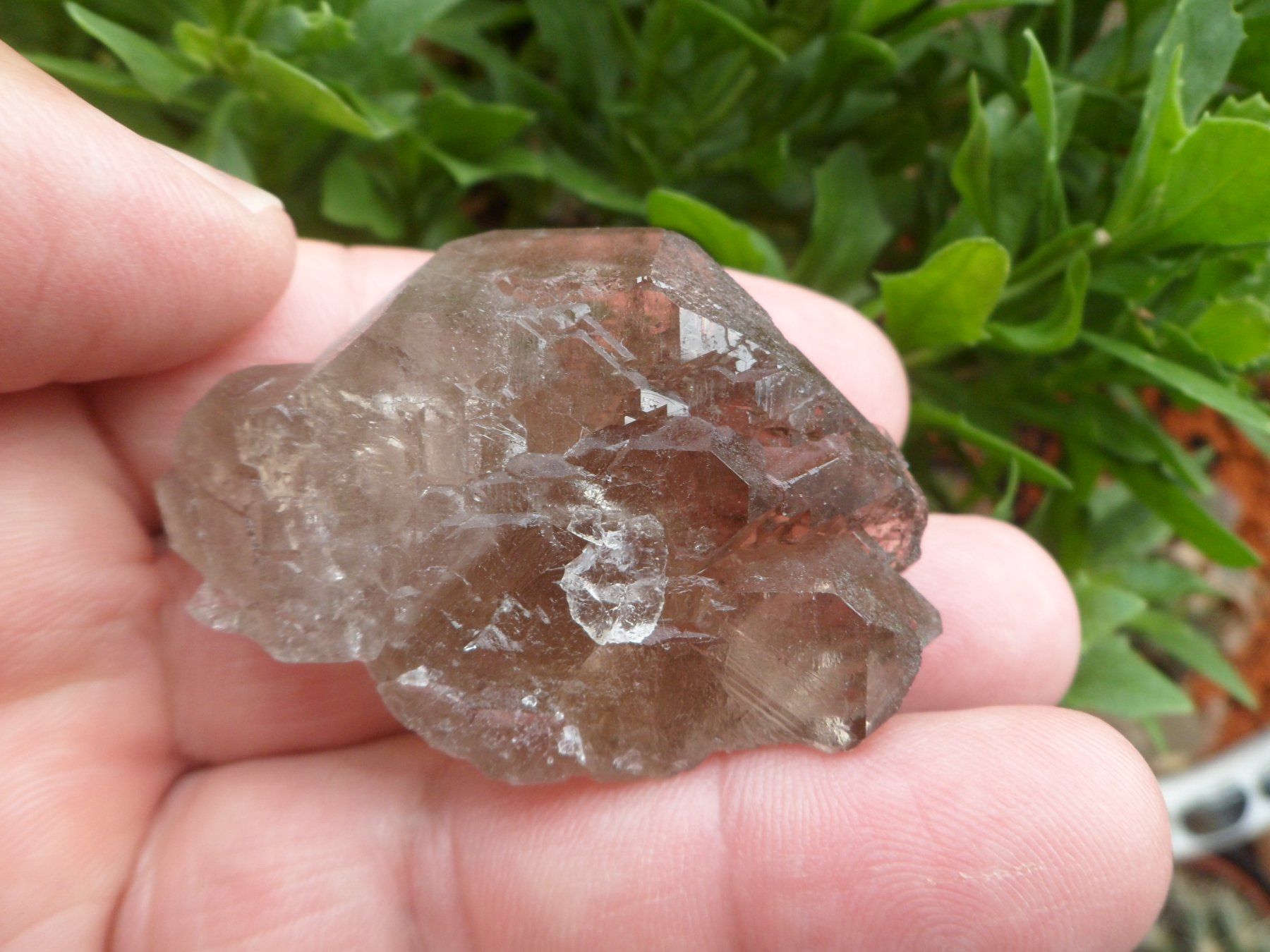 Minerali & Pietre curative: Rauchquarz Gwindel Schweiz – Usato da Affoltern am Albis venduto da Fossil60 4