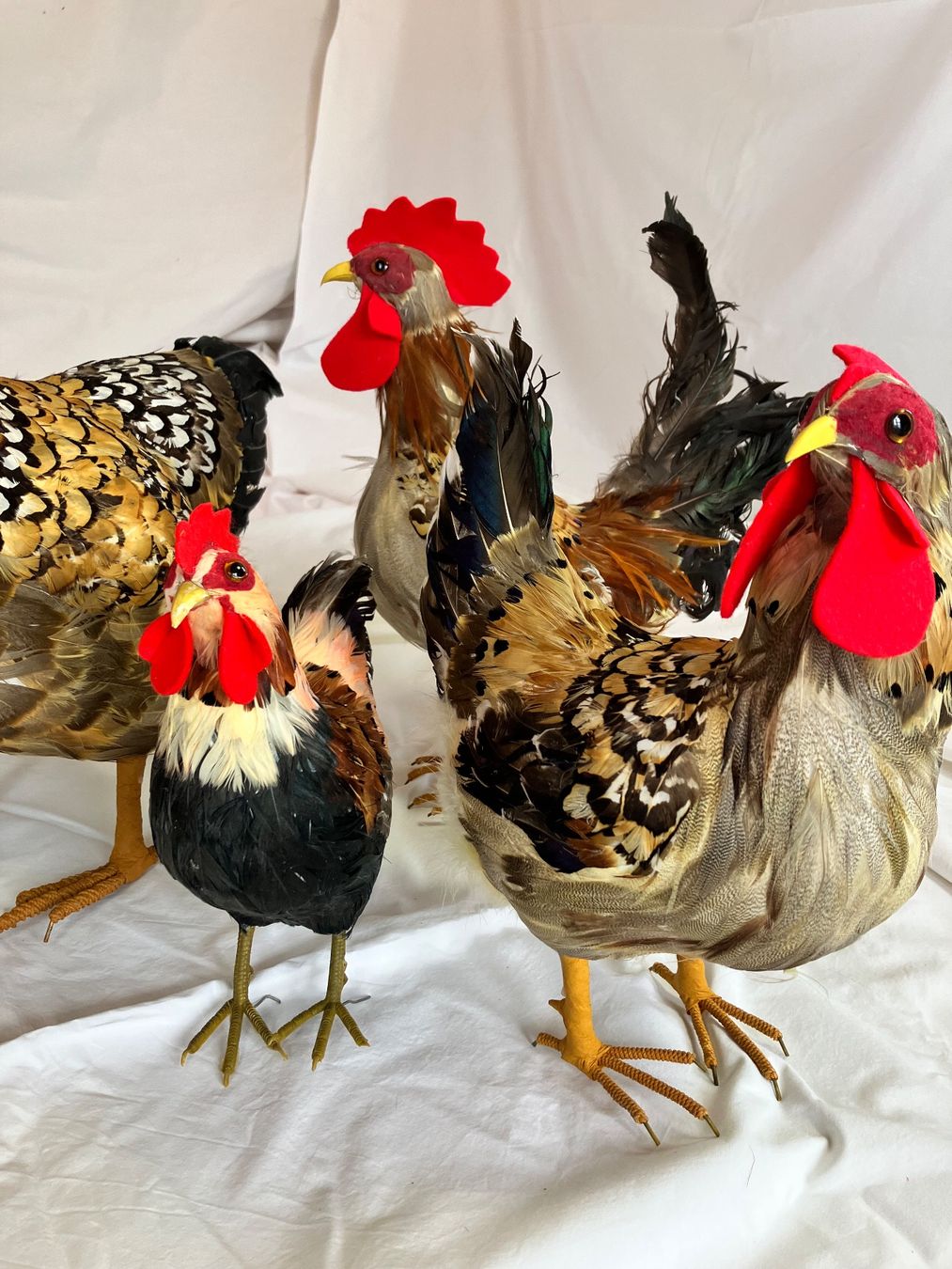Tutte le decorazioni: 5 Dekohühner gross – Usato da Mürren venduto da Ne-le 1