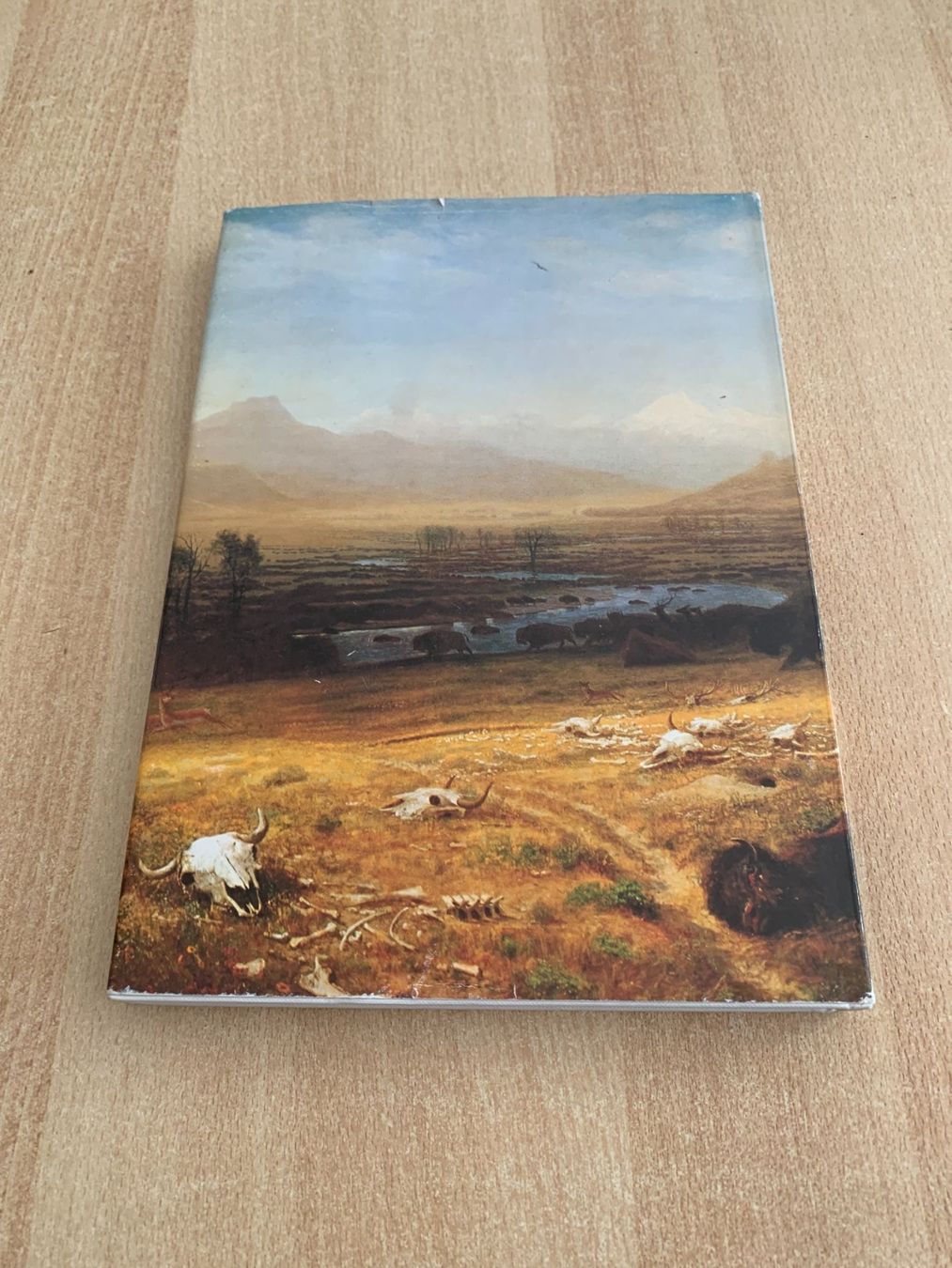 Libri: Buch Indianer Nordamerikas Silva-Verlag 1982 – Usato da Reinach BL venduto da jessihome 1