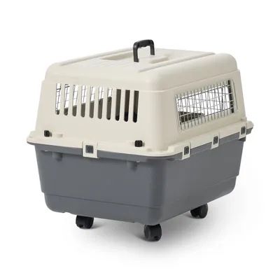Gabbie, trasporto & Sicurezza: Transportbox für Hunde – Usato da Wolfwil venduto da aWEr4k 1