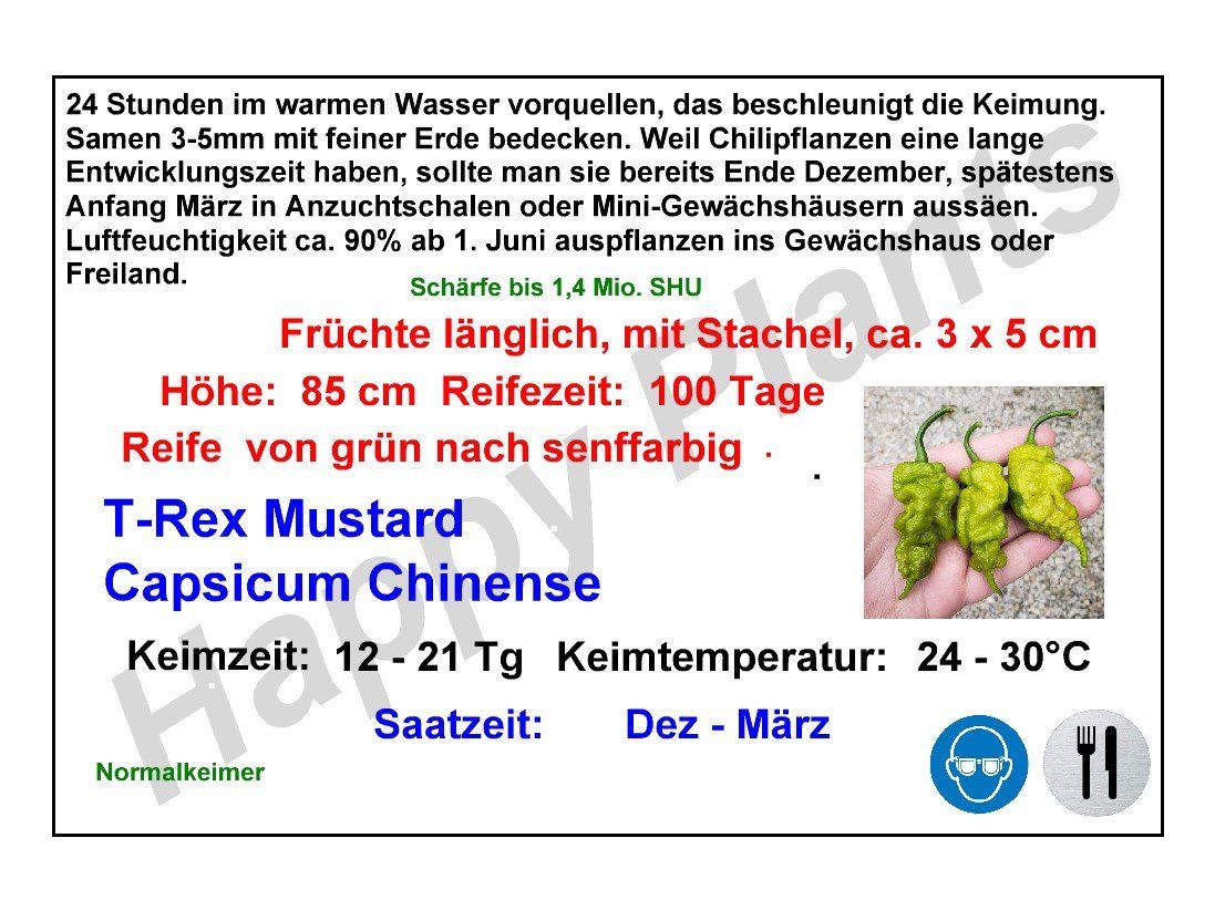 Pflanzen & Samen: T-Rex Mustard - Capsicum chinense - 10 Samen – Neu und originalverpackt aus Sumiswald von Cham14559 3