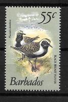 Barbados Nr. 535 Vögel Kleiner Goldregenpfeifer ** 1.9.1981