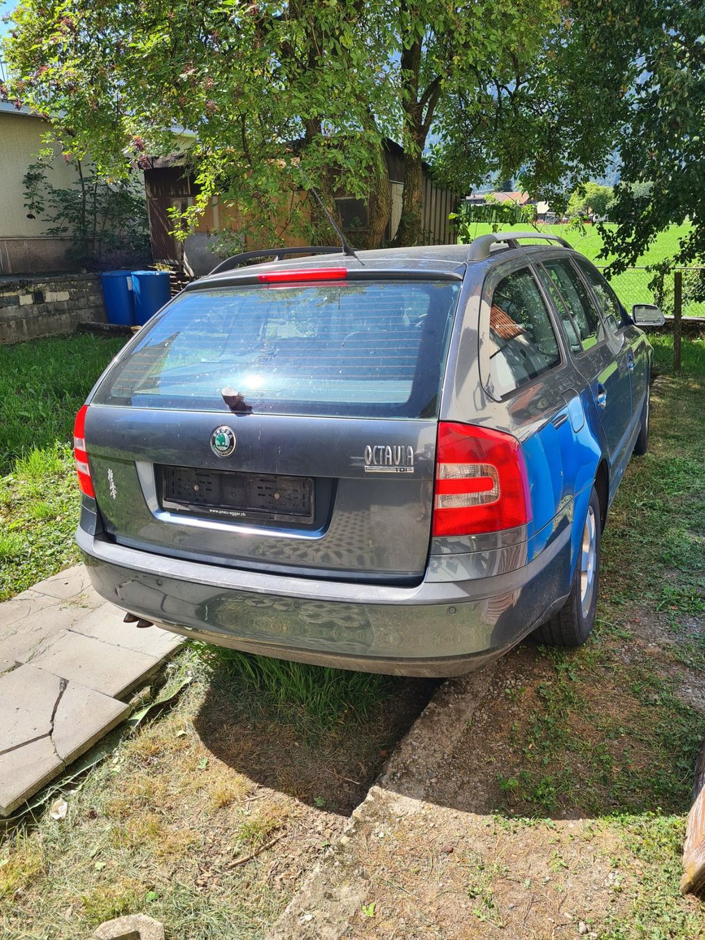 Skoda Autos: SKODA Octavia Combi  1.9 TDI – D'occasion à Altdorf UR par Volvo1992 1