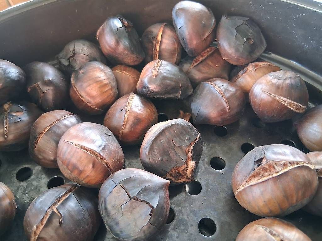 Elettrodomestici da cucina: Stöckli Marroni Ofen – Usato da Losone venduto da delfino_2 2