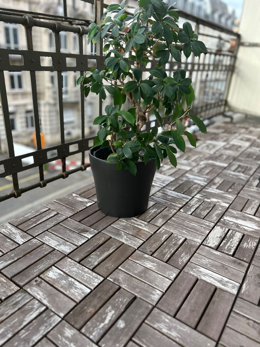Holzartikel: Terrassenfliessen ADAM Akazie – Gebraucht aus Zürich von mar_st77 4