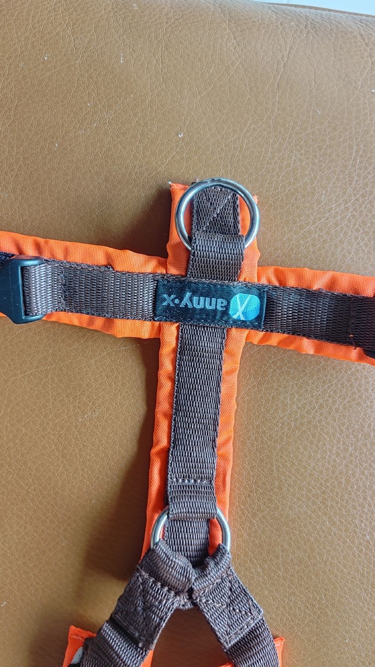 Anny X Guinzagli & Collari: Anny-x Brustgeschirr S Protect & Leine 6m – Nuovo (secondo la descrizione) da Illnau venduto da Sefan 2