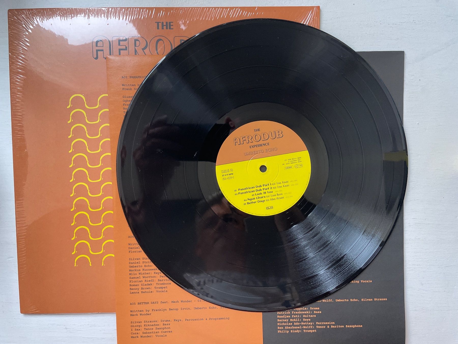 Dischi in vinile: Umberto Echo - The Afrodub Experience - LP, 2025 – Usato da Zürich venduto da Andy_t71 2