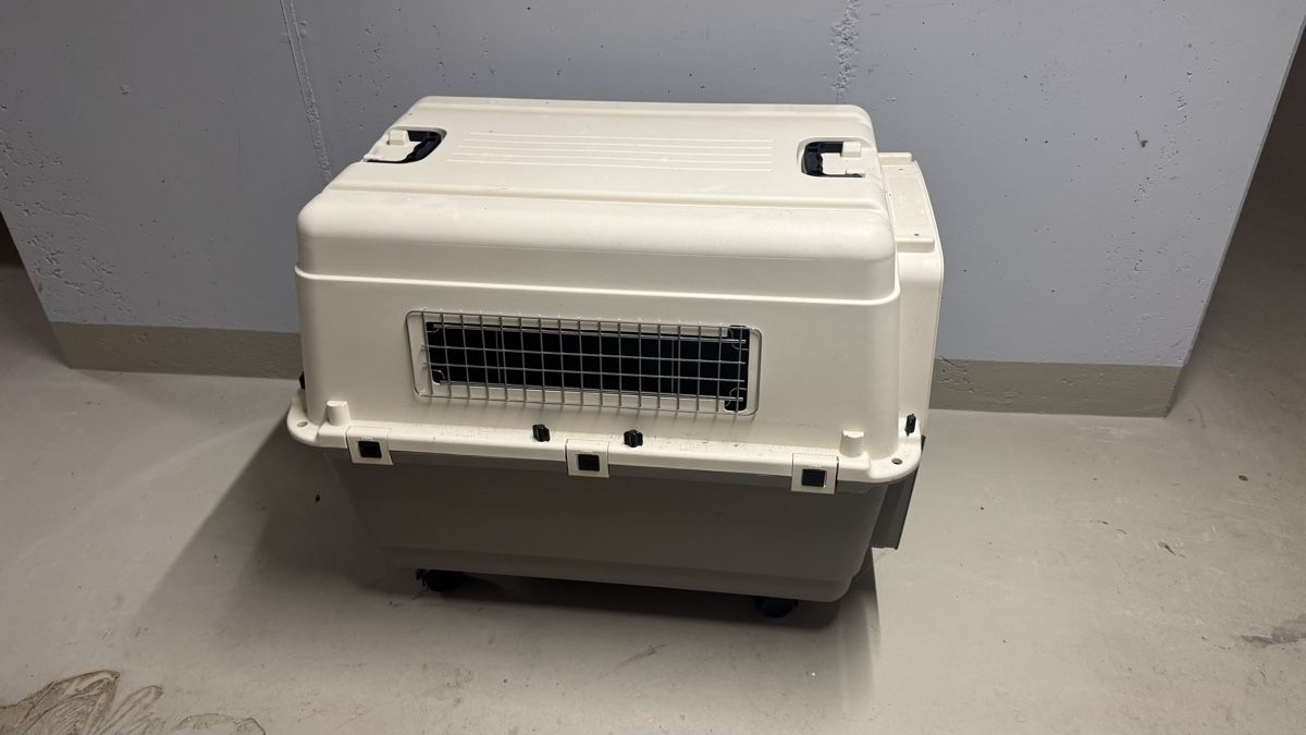 Cucce & Letti: Praktische Hundebox – Usato da Weiningen ZH venduto da proi4o 1