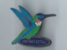 Placchette & Badge: Kolibri Pin "Hermesetas" – Usato da Zürich venduto da t24_de