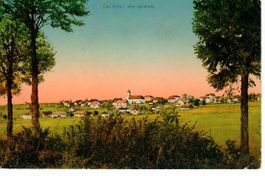 Les Bois 1919