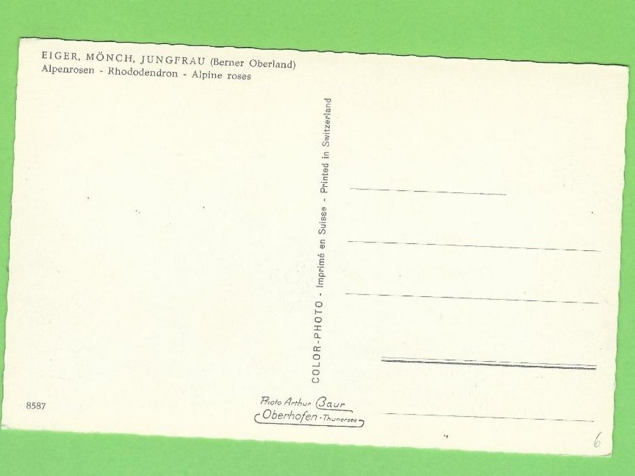 Cartoline postali: Eiger, Mönch, Jungfrau – Usato da Zürich venduto da t24_de 1