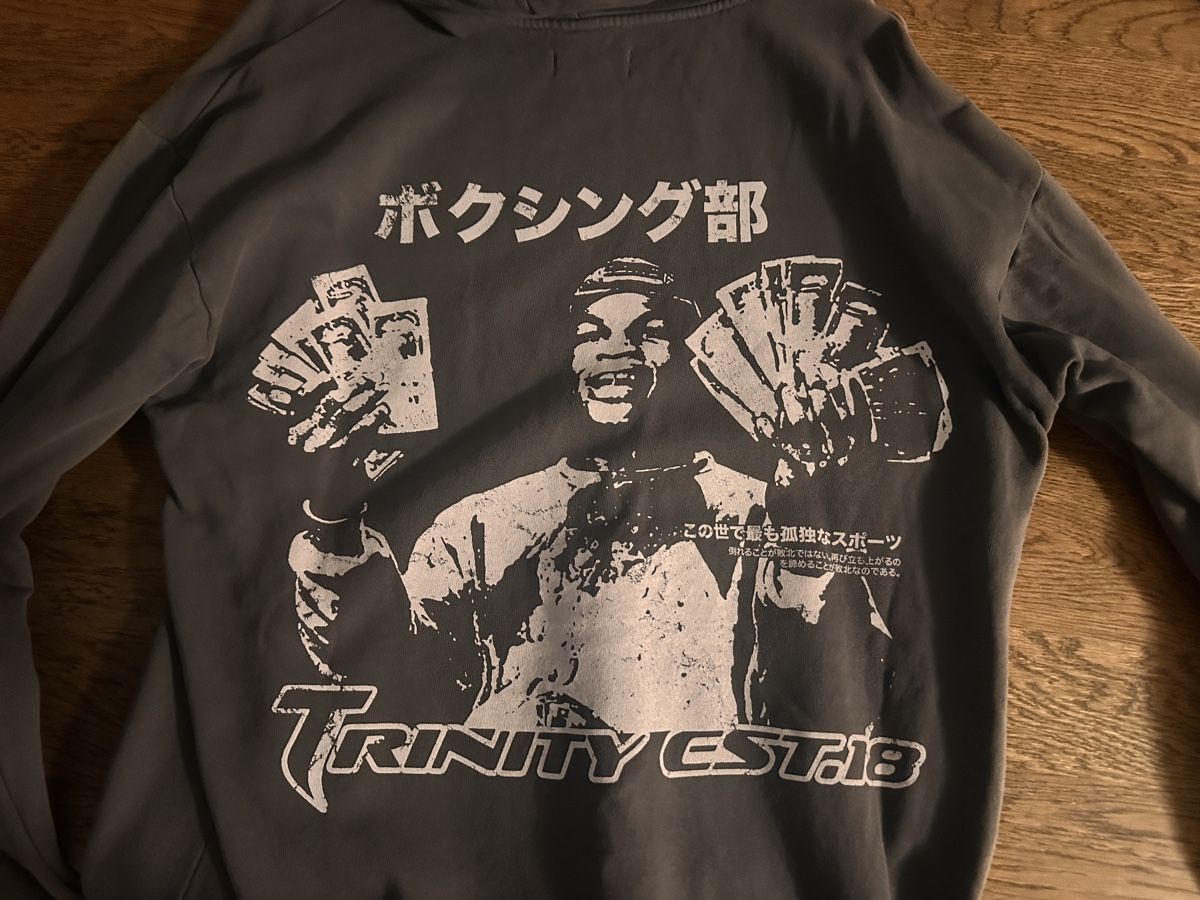 Maglioni & Felpe: Trinity LA Hoodie, Size M, Grey - Great Condition! – Usato da Gattikon venduto da 386ComicEmpire 2