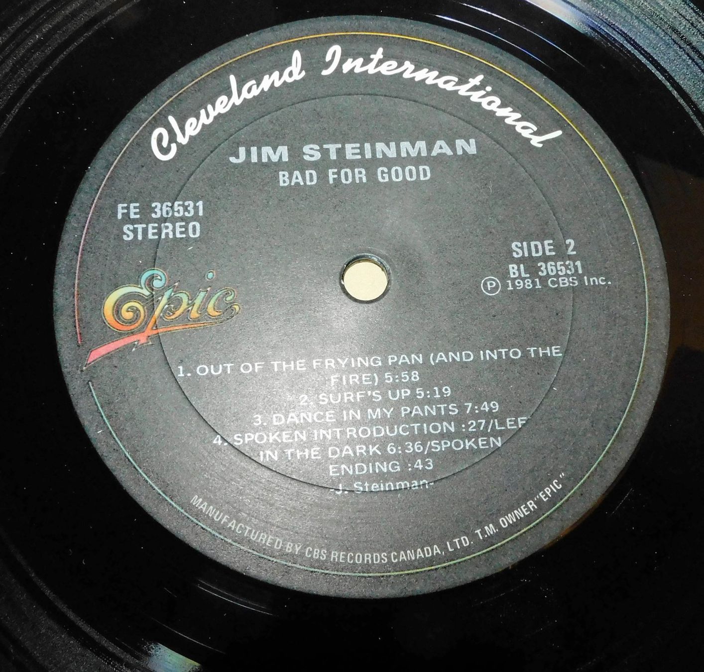 Dischi in vinile: Lp Jim Steinman - 1981 Schallplatte – Usato da Sursee venduto da 76 1