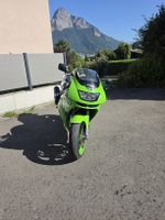 Kawasaki Ninja – Klassiker in Lime Green