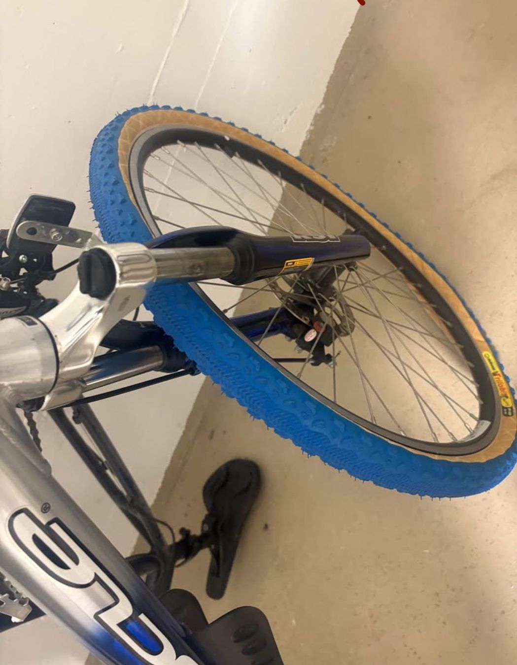 Biciclette: Velo – Usato da Erlinsbach venduto da chc_ppz5 4