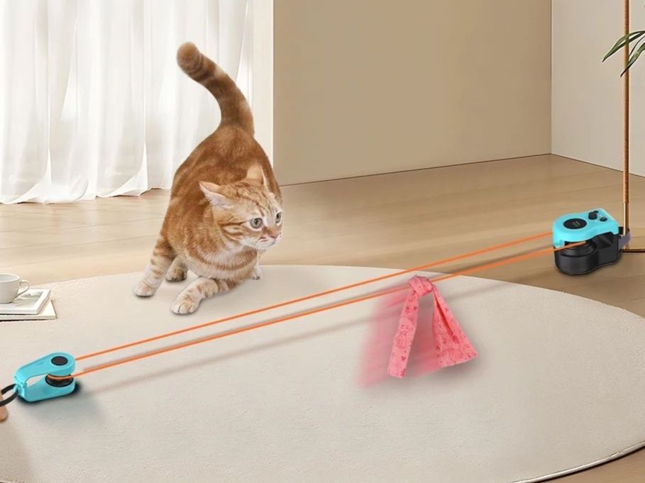 Giocattoli: Pet Cat Chasing Toy – Nuovo e nell'imballaggio originale da Lausanne venduto da oenix 9
