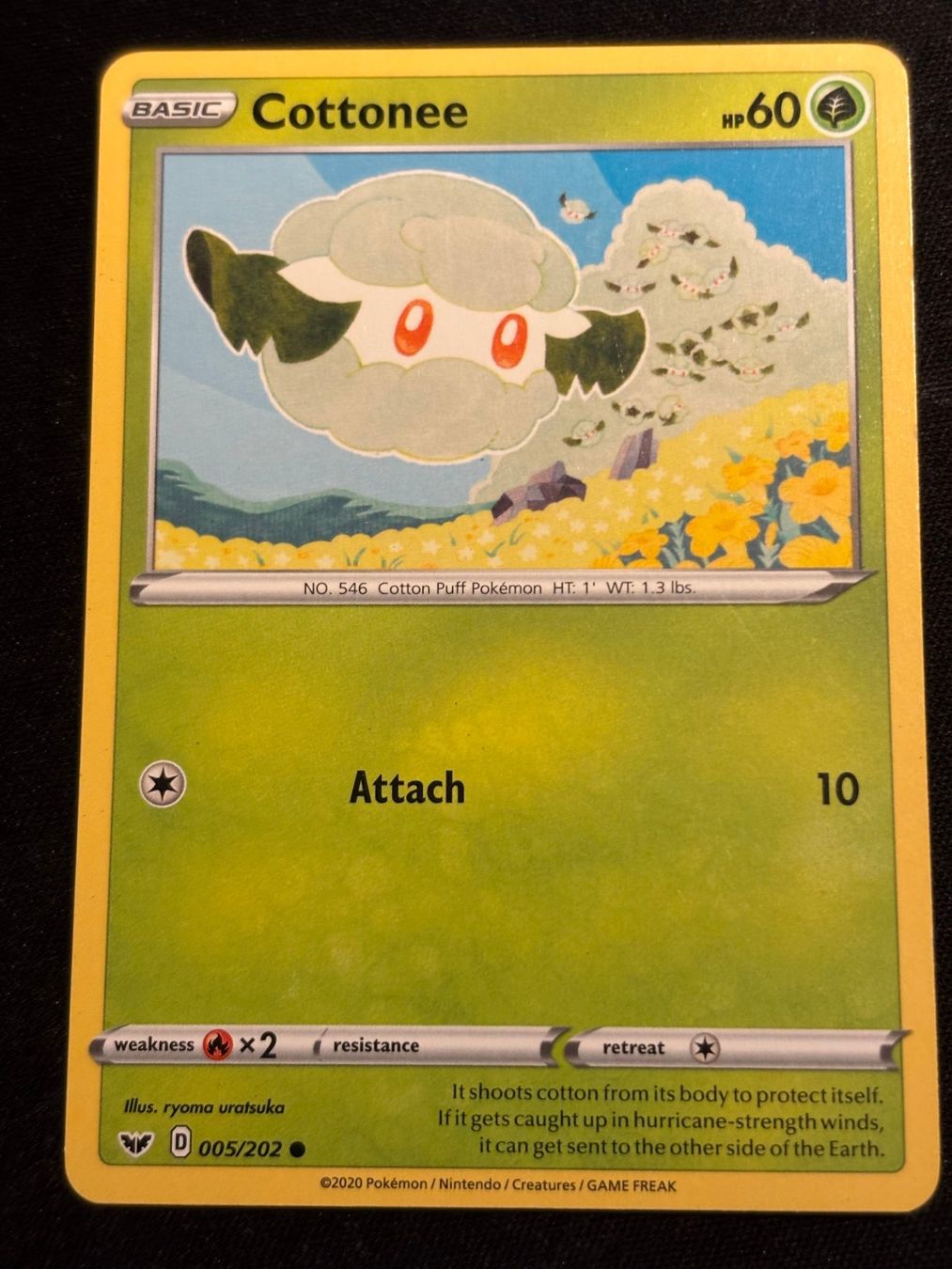 Pokémon Carte collezionabili: Pokemon Cottonee - Sword-Shield 5/202 - English – Usato da Bern venduto da Big_GS