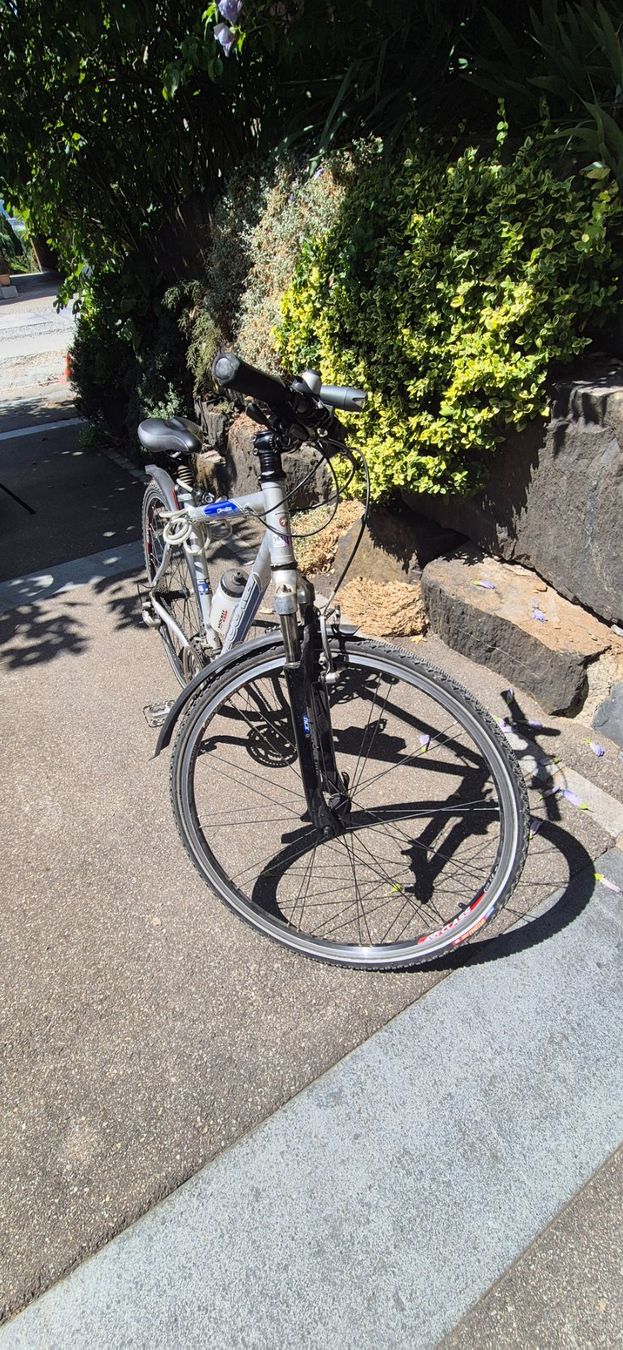 Stöckli Biciclette: Fahrrad silber mit blauen Akzenten – Usato da Kloten venduto da WMG 1