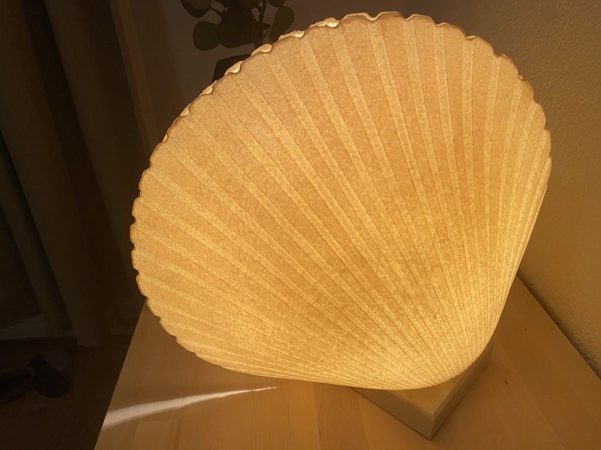 Lampen: Muschellampe Designer - Gebraucht – Gebraucht aus Beromünster von sar_kn2d 4