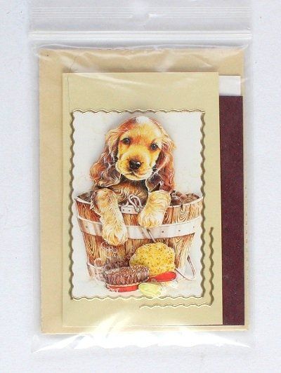 Cartoline: Minikarte Hund – Nuovo (secondo la descrizione) da Schlatt TG venduto da glueckwunschkarte.22 2