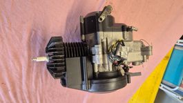 Töffli Motor Pony / Cilo revidiert