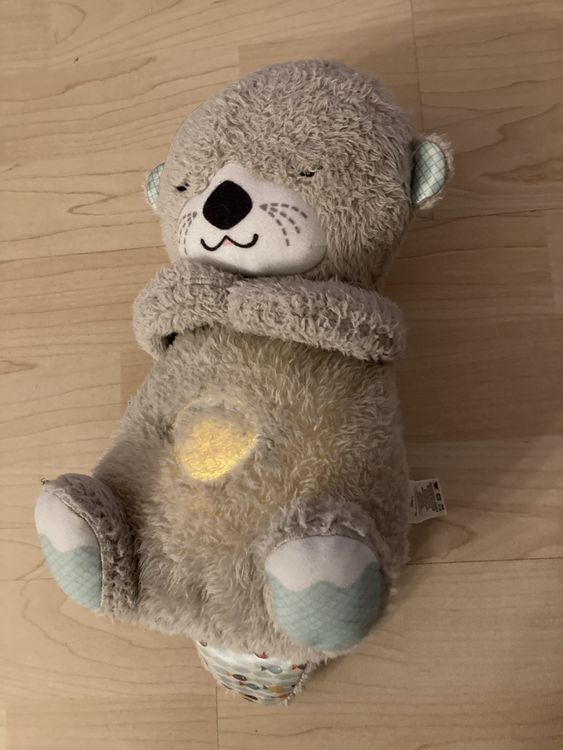 Schlummer- Otter von Fisher Price | Kaufen auf Ricardo