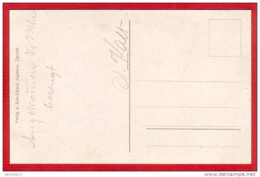 Cartoline postali: ZURZACH – Usato da Grüningen venduto da Kartenlaube 1