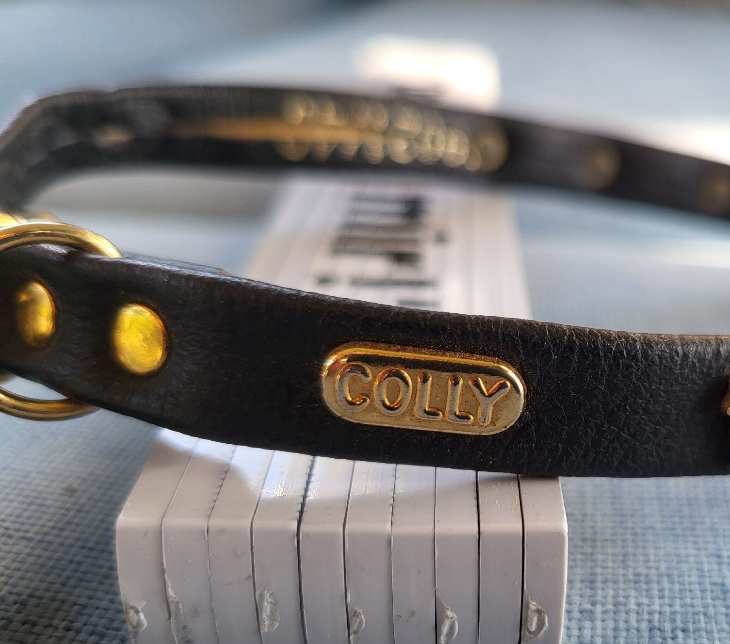Nastri decorativi: Hundehalsband mit Chueli – Usato da Gutenswil venduto da ghekko88 3