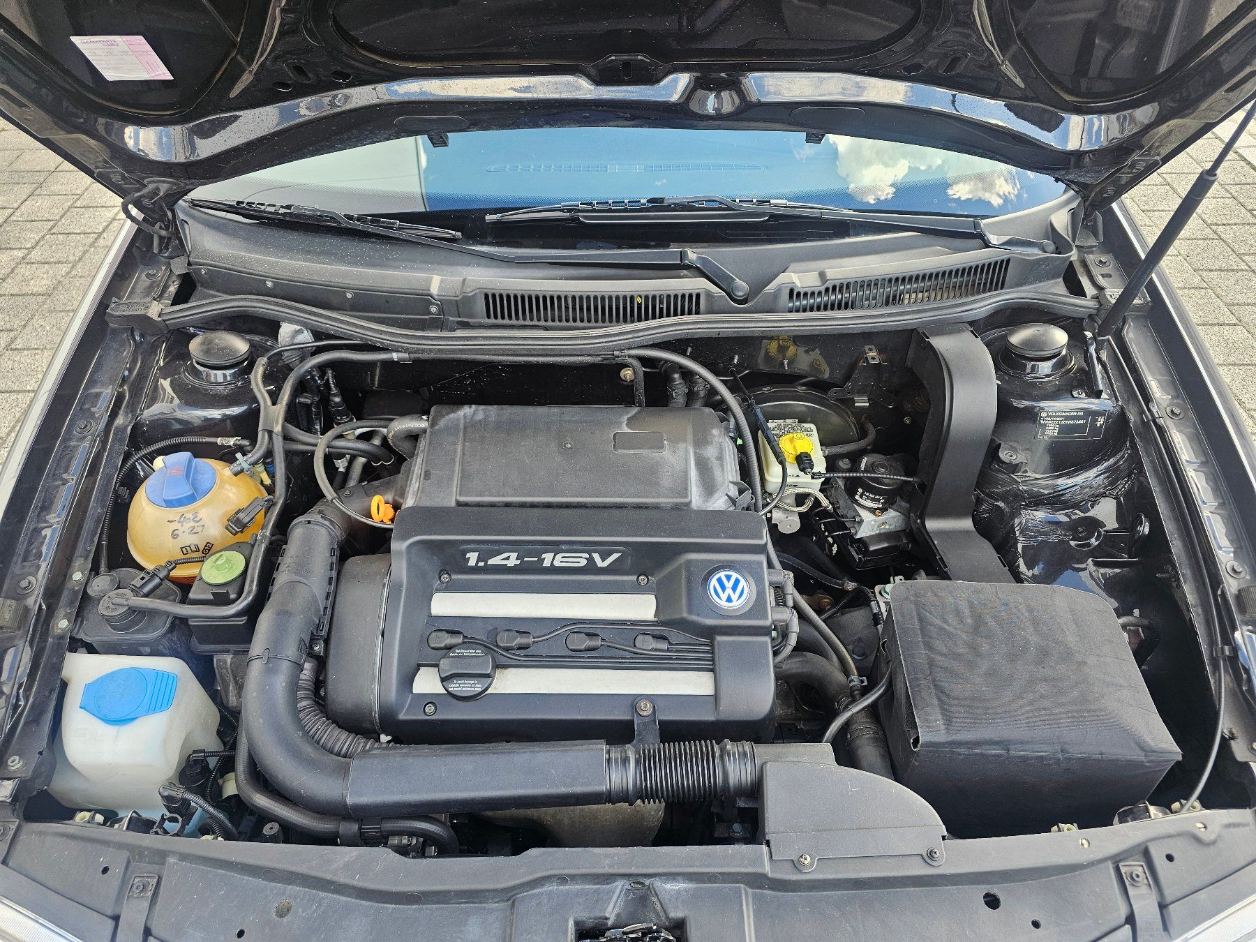 VW Automobili: Vw Golf – Usato da Altstätten SG venduto da Dontito 7