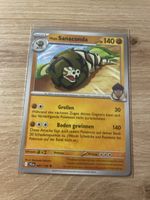 Sanaconda Pokémon