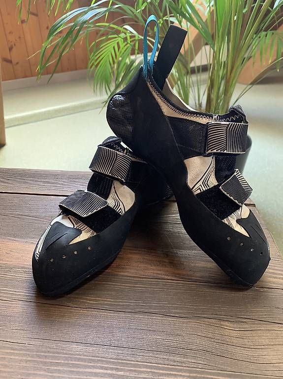 Scarpe da uomo: Kletterschuhe Grösse 39.5 – Usato da Zollikofen venduto da iva_sl2y