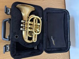 Trompete CarolBrass CPT 3000 GLS grosse Bell