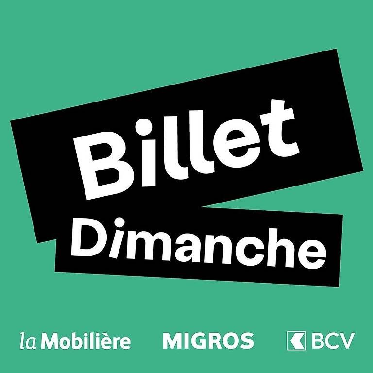 Biglietti: Billet Paléo Dimanche – Usato da Jongny venduto da maxme.m