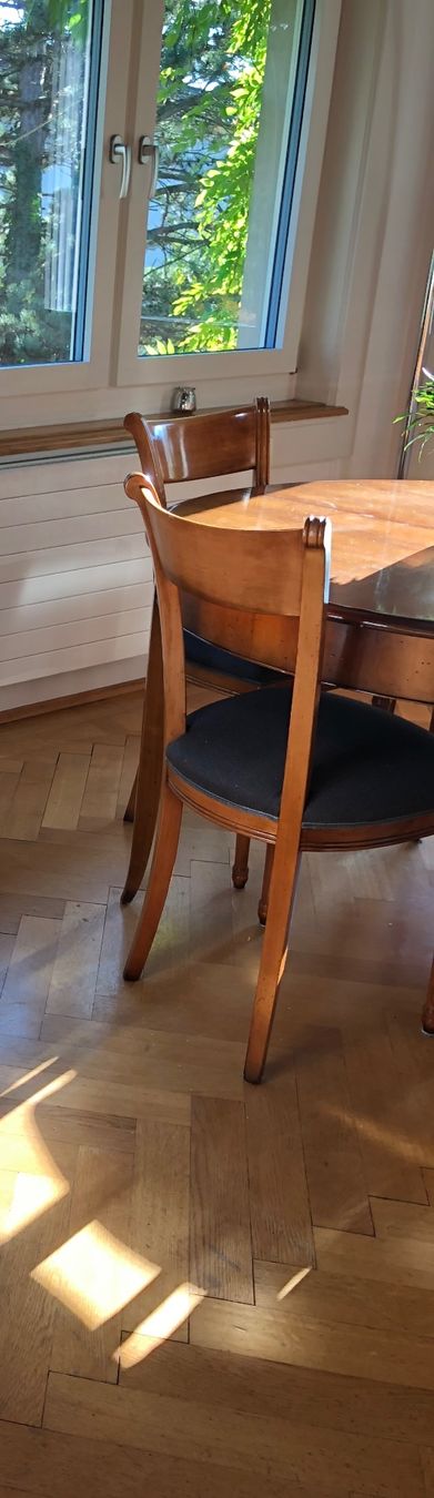 Roche Bobois Set di tavolo e panche: Roche Bobois Esstisch mit 4 Stühlen – Usato da Laufenburg venduto da CCF 1