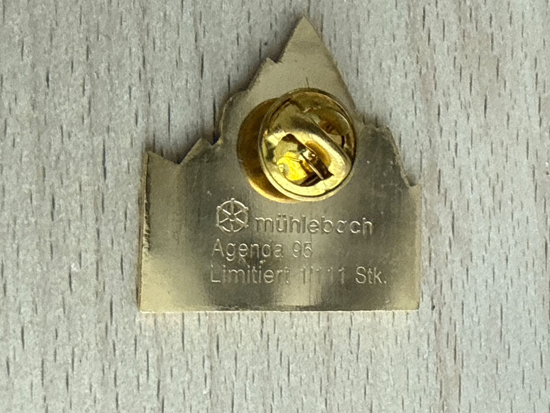 Placchette & Badge: Pin Aelplerchilbi – Usato da Glattbrugg venduto da Schweigmatt 1
