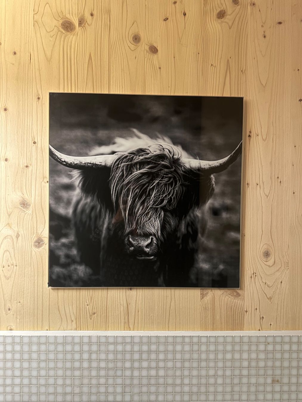Foto & Immagini: Wunderschönes Bild (Hochland Rind) – Usato da Zell ZH venduto da Lindalinaa 1