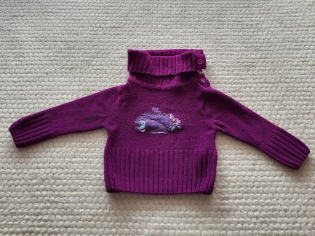 Mädchen-Pullover