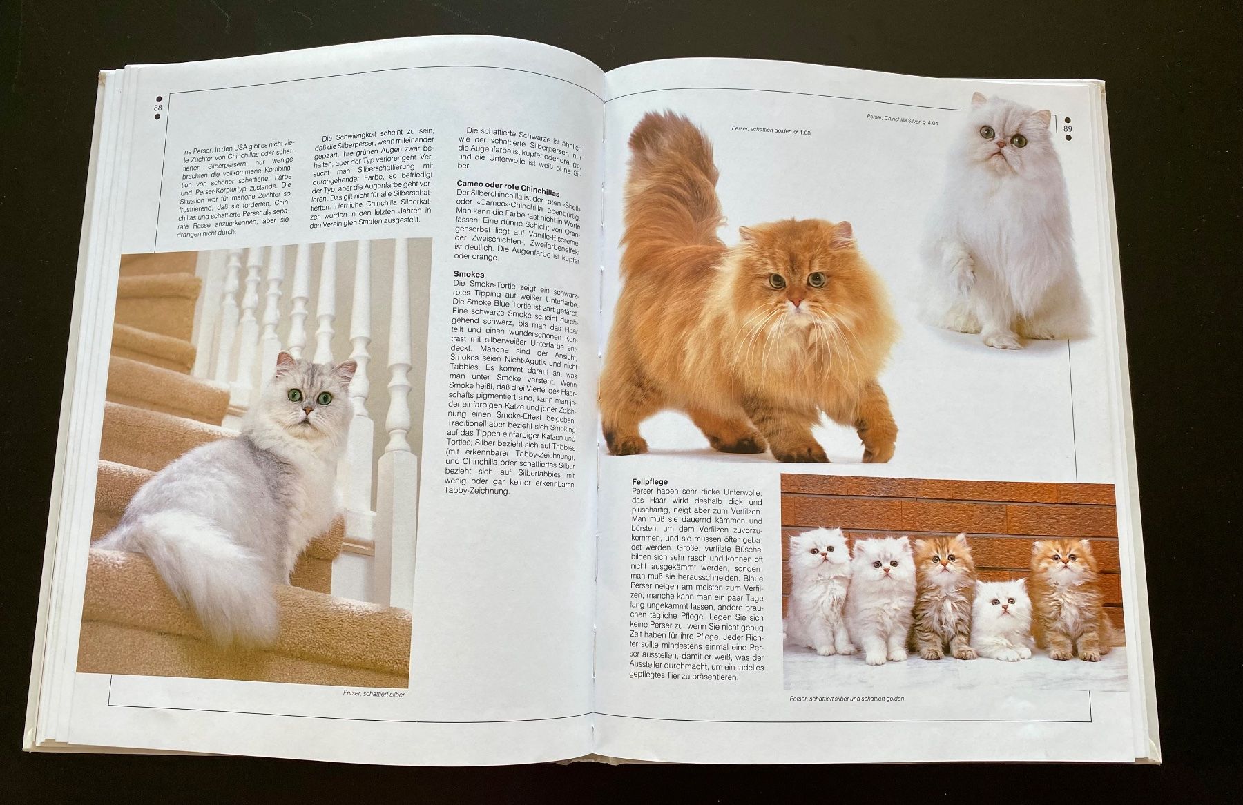 Livres: KATZEN – D'occasion à Nussbaumen AG par schuba2000 5