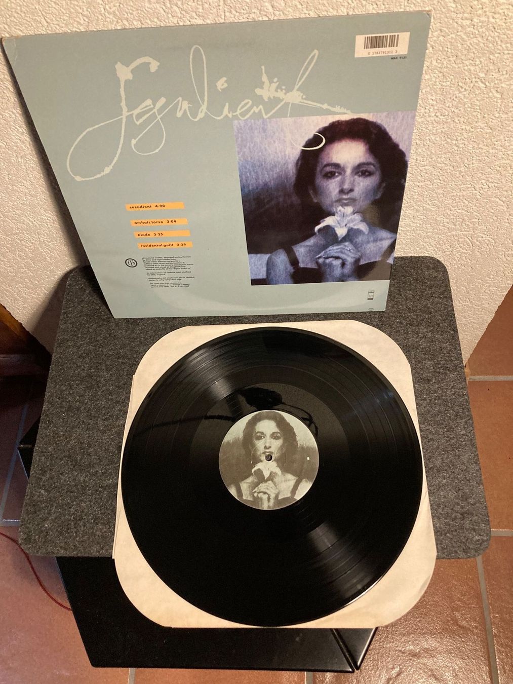 Dischi in vinile: In The Nursery - Sesudient – Usato da Fribourg venduto da Karushi 1
