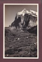 GRINDELWALD - Wetterhorn - 1933