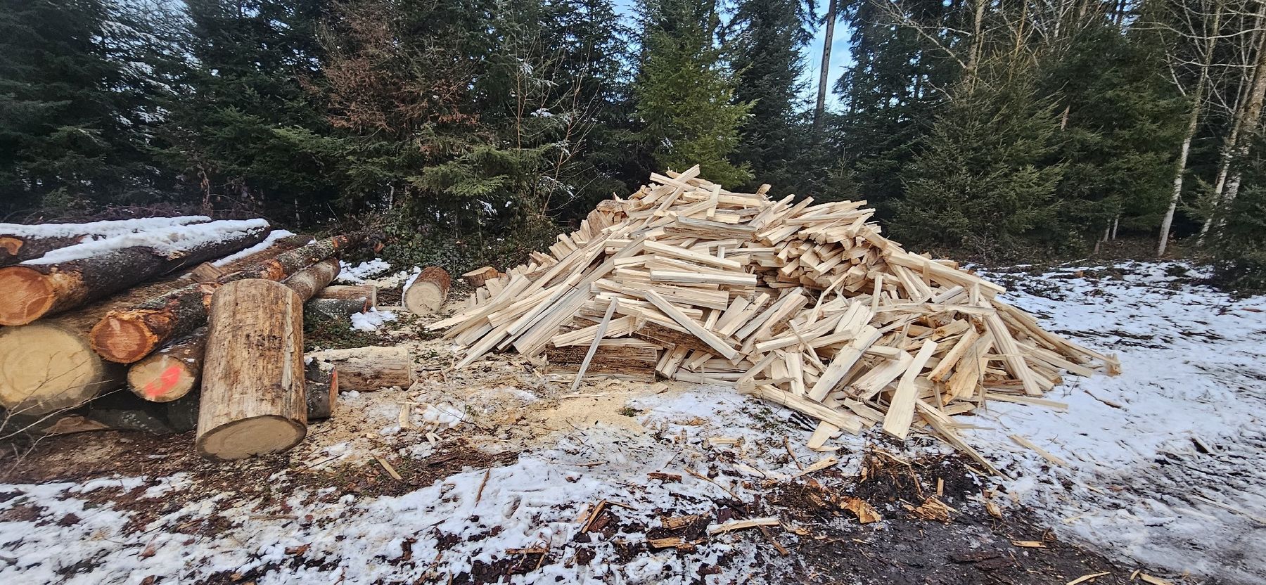 Articoli in legno: Brennholz Tanne – Nuovo (secondo la descrizione) da Vielbringen Worb venduto da lua_cm7v 2