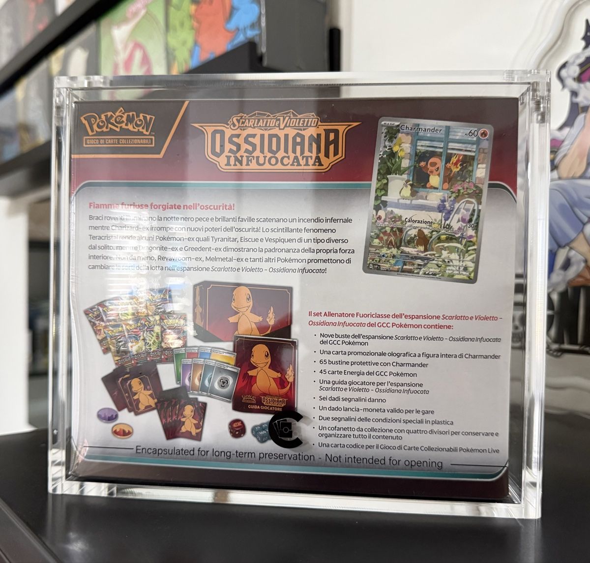 Pokémon Carte collezionabili: Case in acrilico per etb Pokemon - Acrylic case box teca – Nuovo e nell'imballaggio originale da Vacallo venduto da SeriousCollector92 5