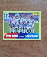 Panini CPV 13