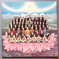 GEORGE HARRISON - DARK HORSE