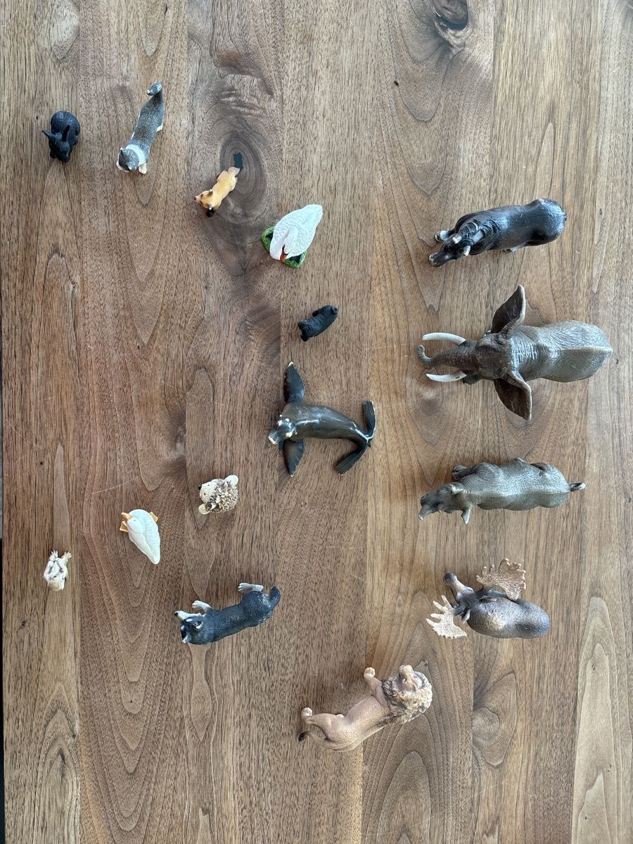 Schleich Figuren: Schleich Tiersammlung( Guter Zustand) – Gebraucht aus Gelterkinden von Trinitygirl