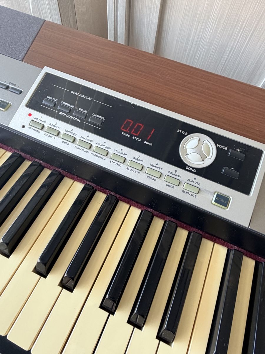 Strumenti musicali: E Piano Stage Piano SP 5100 – Usato da Weisslingen venduto da Ripcurl78 1