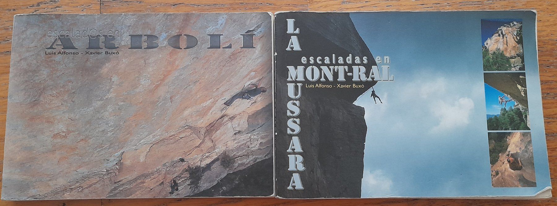 Libri: Kletterbüchpaket von Luis Alfonso etc. – Usato da Richigen venduto da lis_qql9