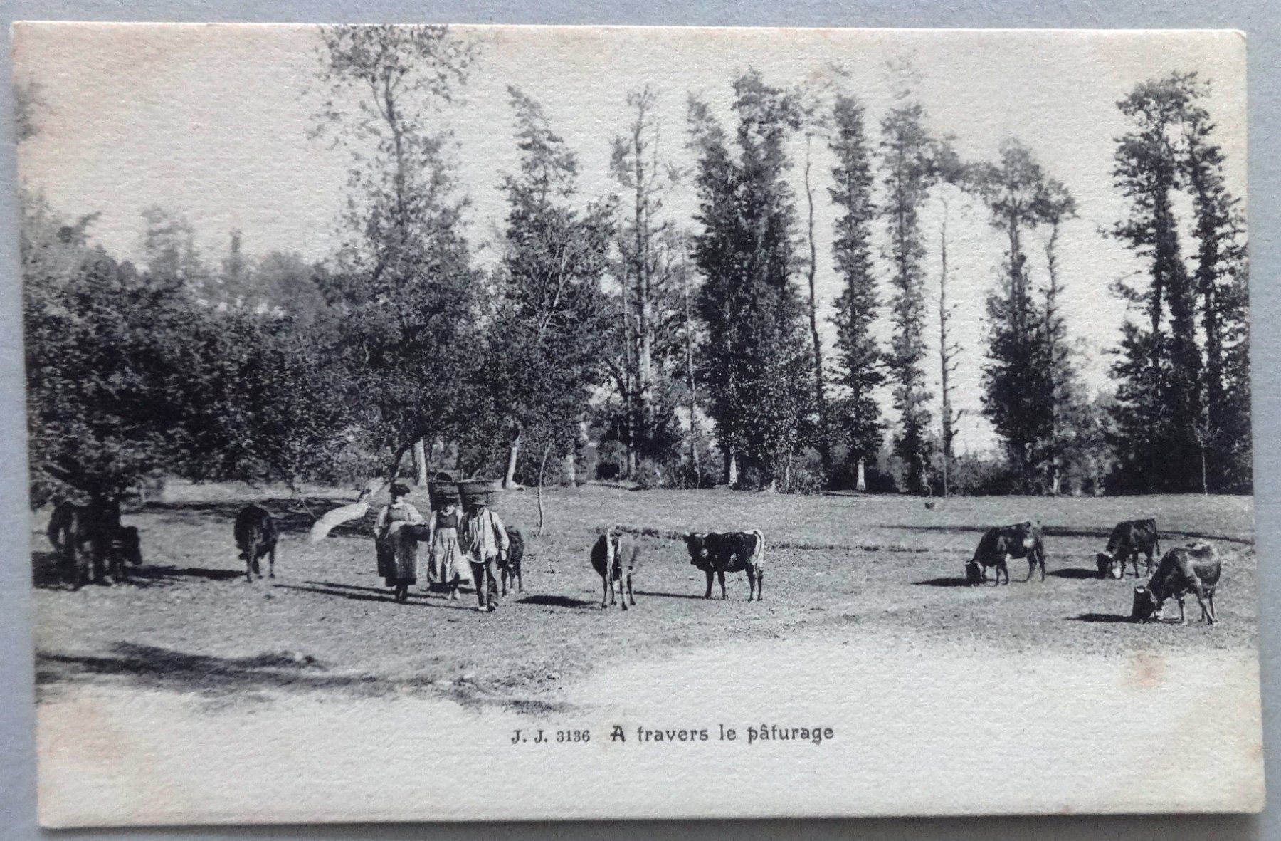 Cartoline postali: A travers le pâturage – Difettoso da Fétigny venduto da Billy2miny