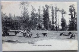 A travers le pâturage