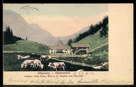 AK Lenk, Rinderherde vor der Wirtschaft auf der Iffigenalp